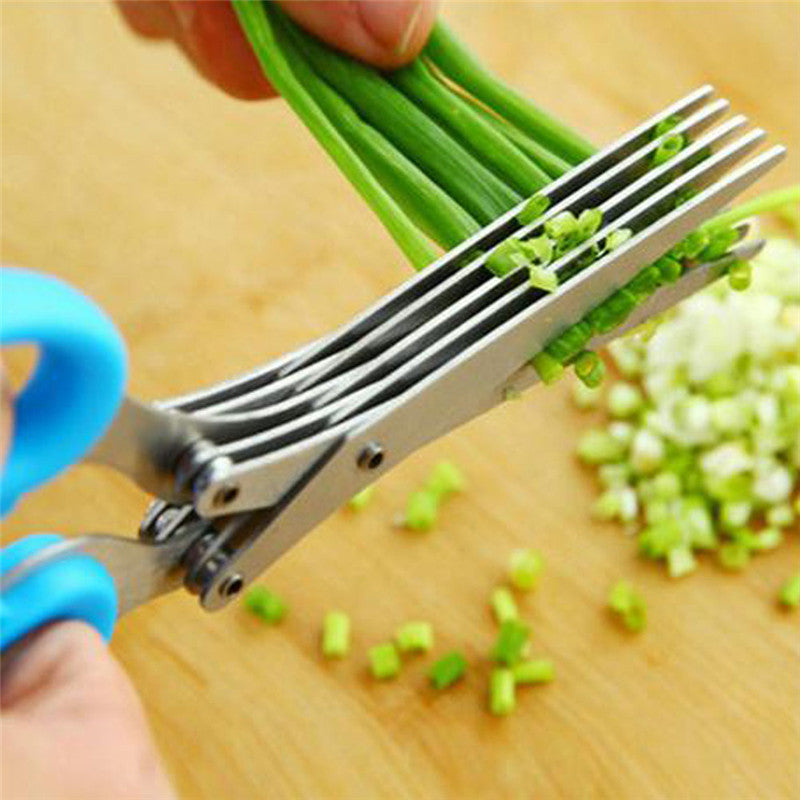 Stainless Steel 5 Blade Herb Shredding Scissors Cleaner Stainless Blades  Kitchen Tool Blades Home Kitchen Accessories