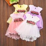 2017 Multi-style Super Cute Baby Girls Summer Floral Dress Princess Party Tulle Flower Dresses 0-3Y Clothing