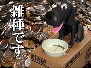 Dog Coin Bank